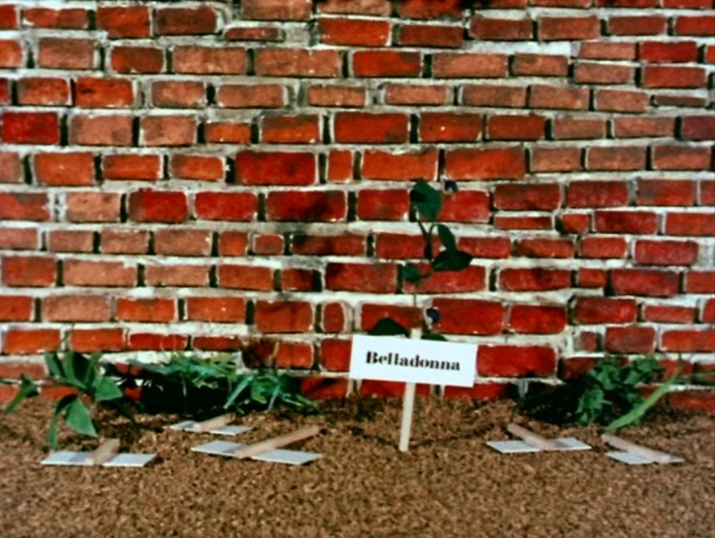 The Herbs: Belladonna The Witch (BBC1, 1968).