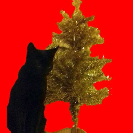 Can't Help Thinking About Christmas by Tim Worthington.