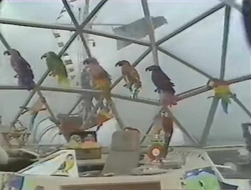 The Mersey Pirate (ITV/Granada, 1979).