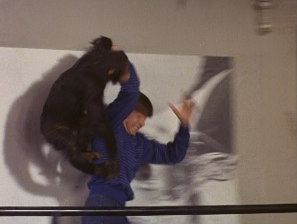 The Monkees - Monkees A La Mode (NBC/Screen Gems, 1967).