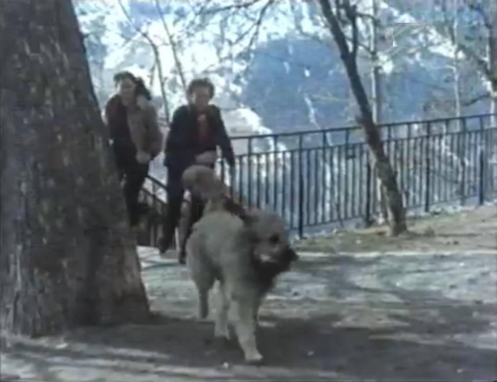 Skiboy (ITC/Skiboy Productions, 1974).