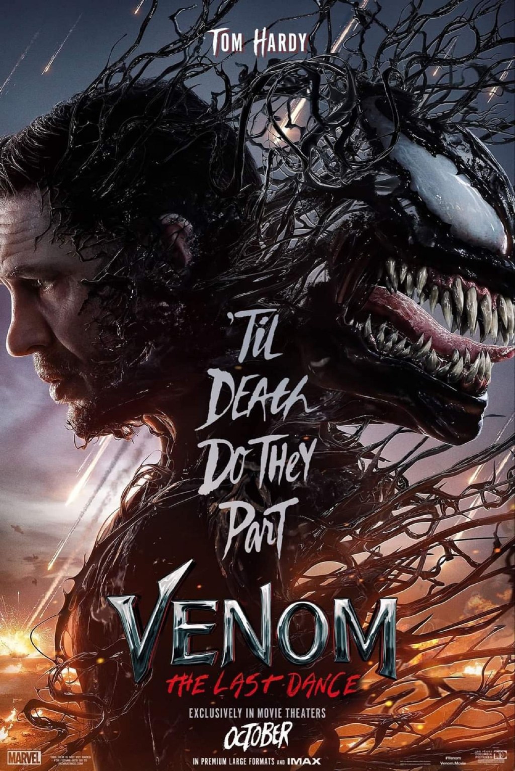 Venom: The Last Dance (2024) - David Smith joins Tim Worthington for a chat about Eddie Brock failing to maintain a consistent pair of shoes in It's Good, Except It Sucks - a movie by movie - and television series by television series - hurtle through the Marvel Cinematic Universe.