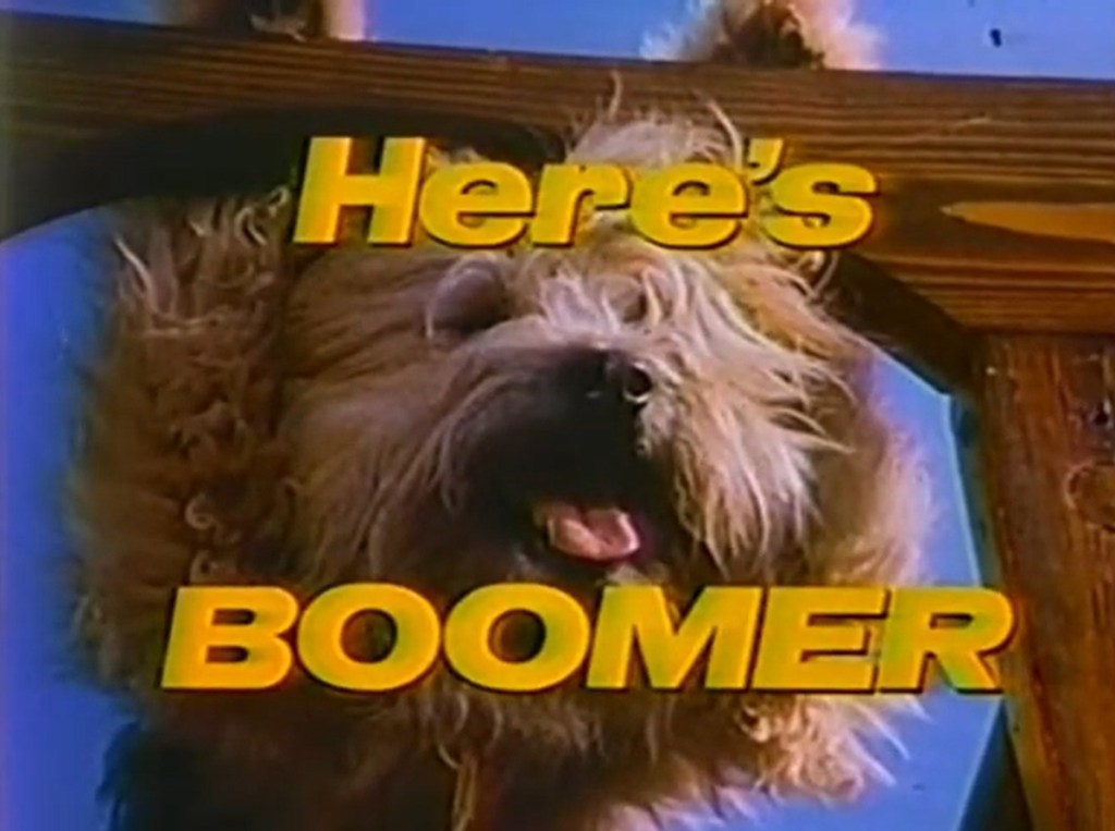 Here's Boomer (NBC, 1980-82).